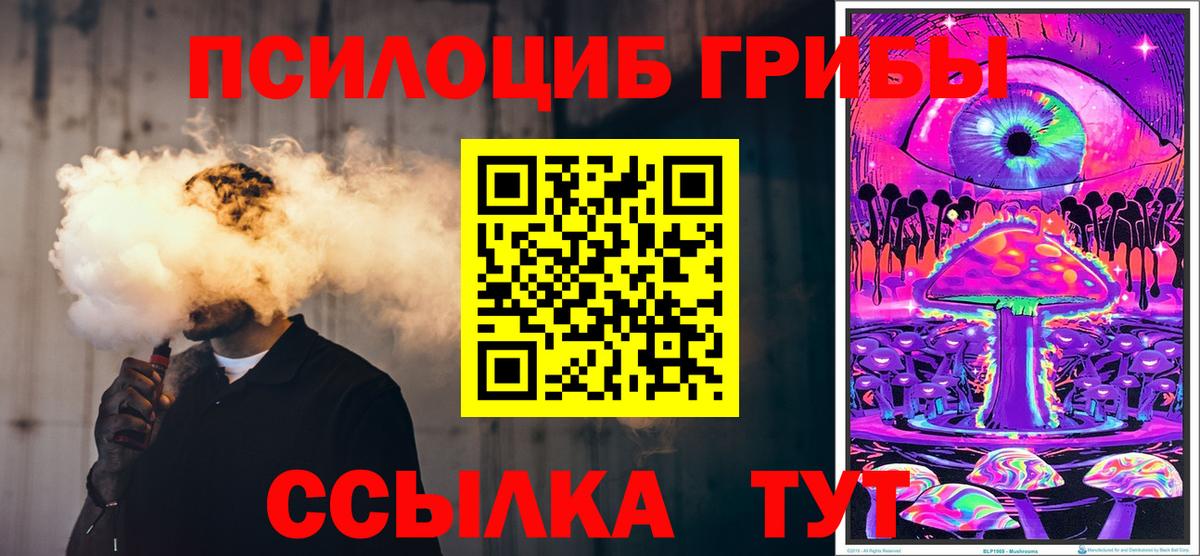 Галлюциногенные грибы Psilocybe  Вход с VPN  Оренбург 