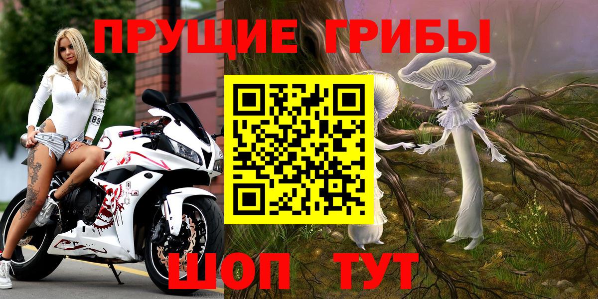 Псилоцибиновые грибы GOLDEN TEACHER Оренбург